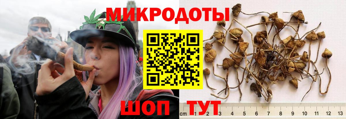 Псилоцибиновые грибы прущие грибы  купить наркоту  Псилоцибиновые грибы GOLDEN TEACHER  Баксан  Вход с VPN 